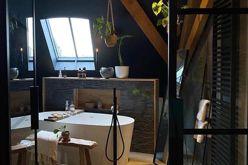 Fönster på taket